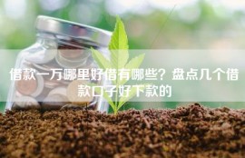 借款一万哪里好借有哪些？盘点几个借款口子好下款的