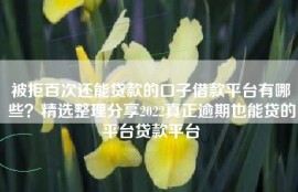 被拒百次还能贷款的口子借款平台有哪些？精选整理分享2022真正逾期也能贷的平台贷款平台