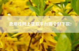 急用钱网上贷款平台哪个好下款?