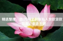 精选整理，借2万马上到账私人放款贷款一览表，拿走不谢
