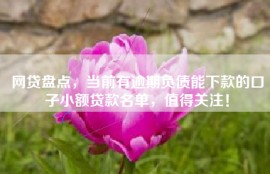 网贷盘点，当前有逾期负债能下款的口子小额贷款名单，值得关注！
