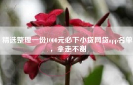精选整理一份1000元必下小贷网贷app名单，拿走不谢