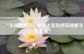 “天网地网”，居然之家如何玩转数字化营销？