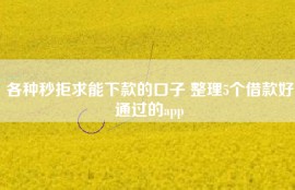 各种秒拒求能下款的口子 整理5个借款好通过的app