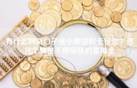 有什么网贷口子是小额贷款无征信？这几个就是不用审核的备用金
