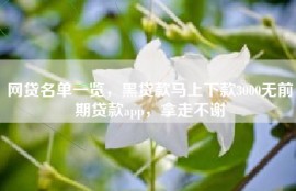 网贷名单一览，黑贷款马上下款3000无前期贷款app，拿走不谢
