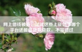 网上借钱被拒，试试这些上征信了哪个平台还能借贷款贷款，不容错过