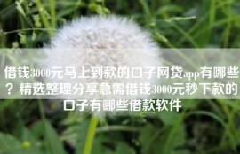 借钱3000元马上到款的口子网贷app有哪些？精选整理分享急需借钱3000元秒下款的口子有哪些借款软件