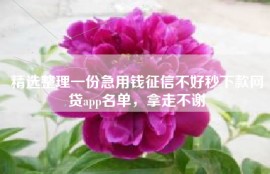 精选整理一份急用钱征信不好秒下款网贷app名单，拿走不谢