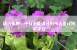 精选整理！千万不能错过的私人借钱贷款平台