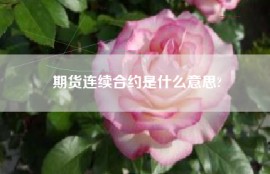 期货连续合约是什么意思?