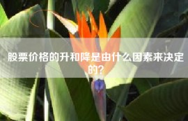 股票价格的升和降是由什么因素来决定的？
