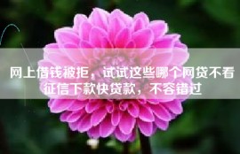 网上借钱被拒，试试这些哪个网贷不看征信下款快贷款，不容错过