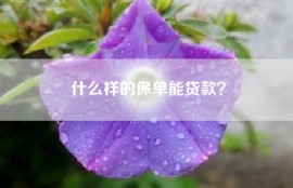 什么样的保单能贷款？