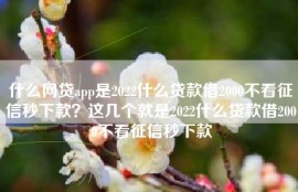 什么网贷app是2022什么贷款借2000不看征信秒下款？这几个就是2022什么贷款借2000不看征信秒下款