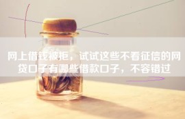 网上借钱被拒，试试这些不看征信的网贷口子有哪些借款口子，不容错过