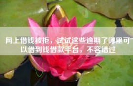 网上借钱被拒，试试这些逾期了哪里可以借到钱借款平台，不容错过