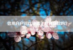 信用白户可以申请无抵押贷款吗？