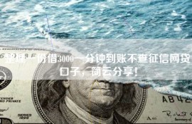 整理一份借3000一分钟到账不查征信网贷口子，简云分享！
