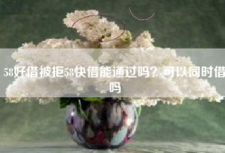 58好借被拒58快借能通过吗？可以同时借吗