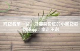 网贷名单一览，只要身份证的小额贷款网贷app，拿走不谢