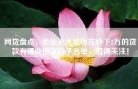 网贷盘点，负债高大数据花秒下2万的贷款有哪些借款口子名单，值得关注！