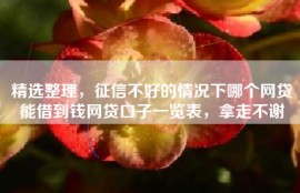 精选整理，征信不好的情况下哪个网贷能借到钱网贷口子一览表，拿走不谢