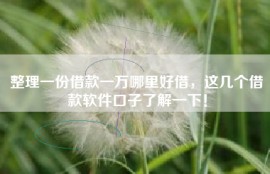 整理一份借款一万哪里好借，这几个借款软件口子了解一下！