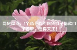 网贷盘点，5个必下款的网贷口子借款口子名单，值得关注！