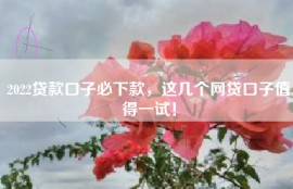 2022贷款口子必下款，这几个网贷口子值得一试！