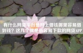有什么网贷平台是网上借钱哪里容易借到钱？这几个就是最容易下款的网贷APP