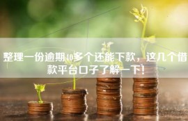 整理一份逾期40多个还能下款，这几个借款平台口子了解一下！