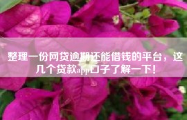 整理一份网贷逾期还能借钱的平台，这几个贷款app口子了解一下！