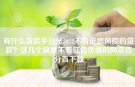 有什么贷款平台是2022不看征信风控的贷款？这几个就是不看征信负债的网贷百分百下款