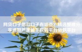 网贷口子借款口子有哪些？精选整理分享逾期严重能下款的平台借款平台