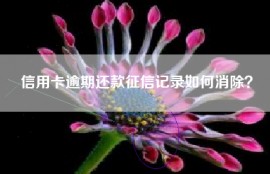 信用卡逾期还款征信记录如何消除？