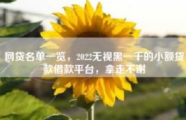 网贷名单一览，2022无视黑一千的小额贷款借款平台，拿走不谢