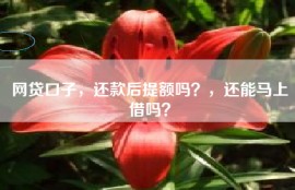 网贷口子，还款后提额吗？，还能马上借吗？