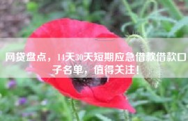 网贷盘点，14天30天短期应急借款借款口子名单，值得关注！