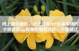 网上借钱被拒，试试这些2022无需审核的小额贷款app有哪些借款软件，不容错过