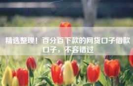 精选整理！百分百下款的网贷口子借款口子，不容错过