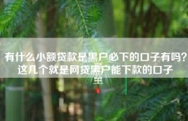 有什么小额贷款是黑户必下的口子有吗？这几个就是网贷黑户能下款的口子