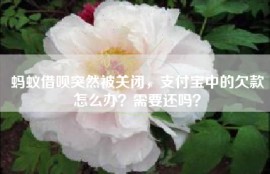 蚂蚁借呗突然被关闭，支付宝中的欠款怎么办？需要还吗？