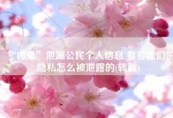 “内鬼”泄漏公民个人信息 看看我们的隐私怎么被泄露的(转载)