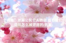 “内鬼”泄漏公民个人信息 看看我们的隐私怎么被泄露的(转载)