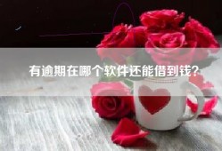 有逾期在哪个软件还能借到钱？
