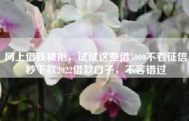 网上借钱被拒，试试这些借5000不看征信秒下款2022借款口子，不容错过