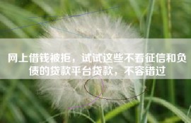 网上借钱被拒，试试这些不看征信和负债的贷款平台贷款，不容错过