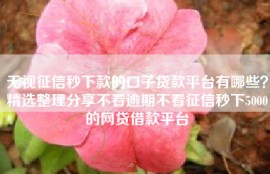 无视征信秒下款的口子贷款平台有哪些？精选整理分享不看逾期不看征信秒下5000的网贷借款平台