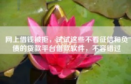 网上借钱被拒，试试这些不看征信和负债的贷款平台借款软件，不容错过